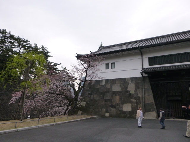 f:id:torakichi7:20150328073511j:image f:id:torakichi7:20150328073511j:image