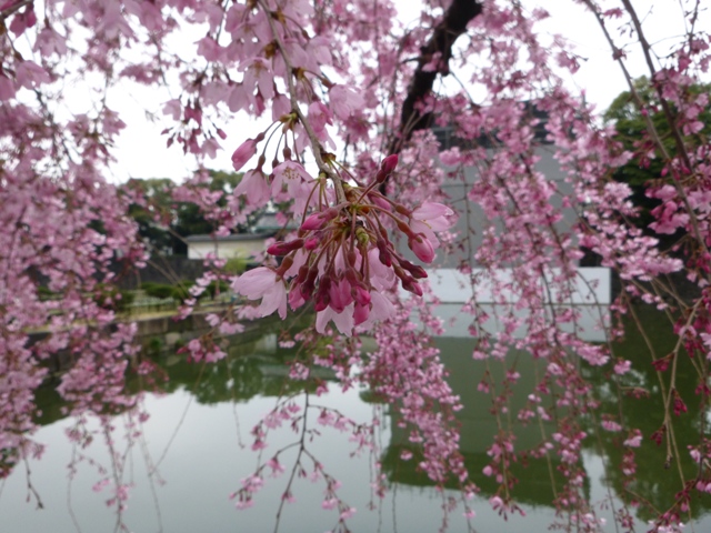 f:id:torakichi7:20150328075552j:image f:id:torakichi7:20150328075552j:image
