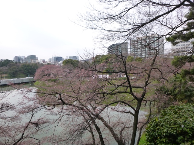 f:id:torakichi7:20150328082839j:image f:id:torakichi7:20150328082839j:image