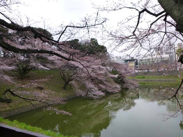 f:id:torakichi7:20150328083418j:image f:id:torakichi7:20150328083418j:image