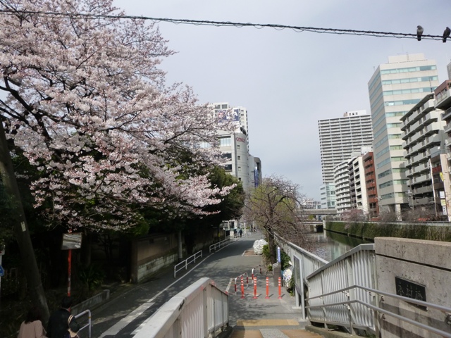 f:id:torakichi7:20150328092546j:image f:id:torakichi7:20150328092546j:image