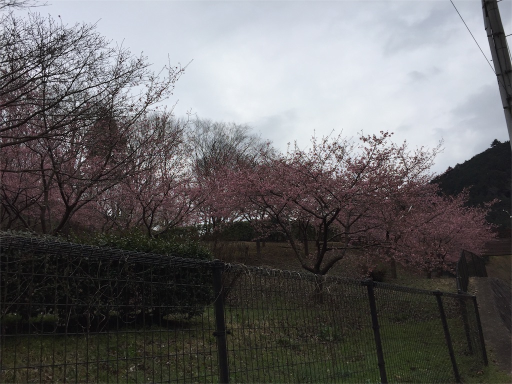 f:id:torakichi7:20160313214505j:image f:id:torakichi7:20160313214505j:image