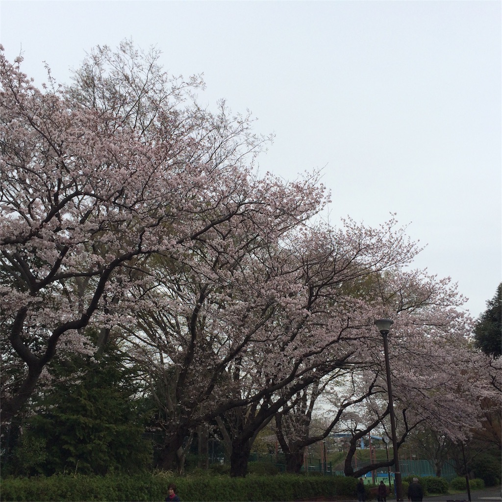 f:id:toraxcross:20160404234105j:image f:id:toraxcross:20160404234105j:image