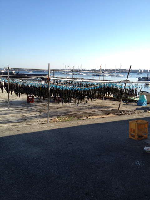 f:id:torebian-yokoshuka:20130213171309j:plain f:id:torebian-yokoshuka:20130213171309j:plain