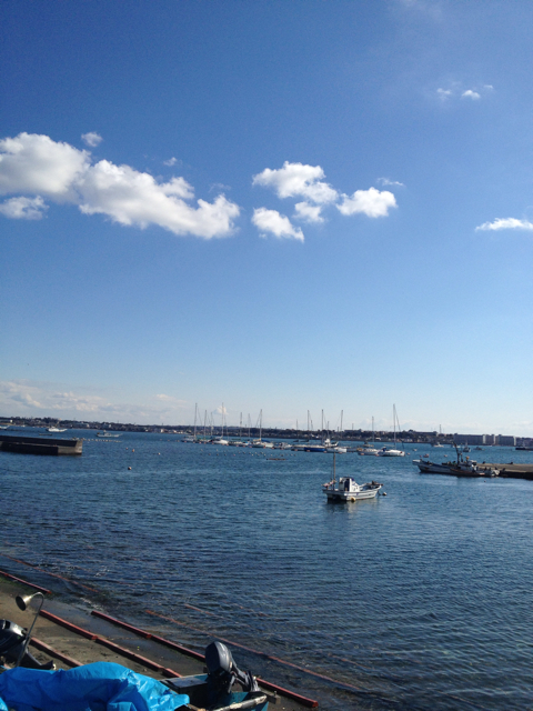f:id:torebian-yokoshuka:20130224172335j:plain f:id:torebian-yokoshuka:20130224172335j:plain