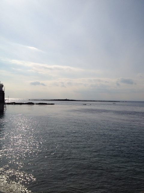 f:id:torebian-yokoshuka:20130225172756j:plain f:id:torebian-yokoshuka:20130225172756j:plain