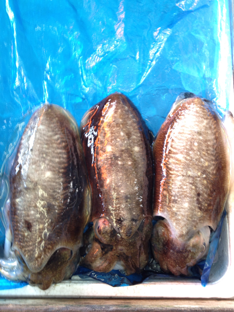 f:id:torebian-yokoshuka:20130304175117j:plain f:id:torebian-yokoshuka:20130304175117j:plain