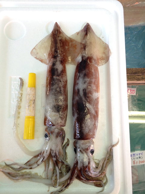 f:id:torebian-yokoshuka:20130306174133j:plain f:id:torebian-yokoshuka:20130306174133j:plain