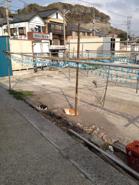 f:id:torebian-yokoshuka:20130313173800j:plain f:id:torebian-yokoshuka:20130313173800j:plain