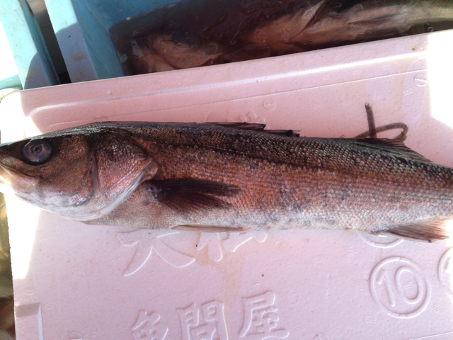f:id:torebian-yokoshuka:20130315180653j:plain f:id:torebian-yokoshuka:20130315180653j:plain