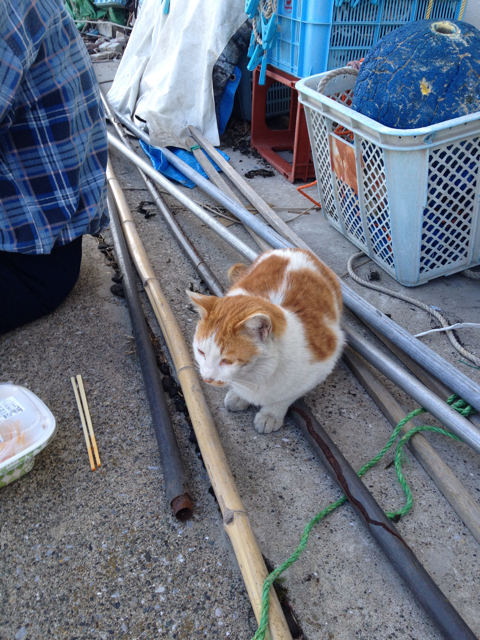 f:id:torebian-yokoshuka:20130316222600j:plain f:id:torebian-yokoshuka:20130316222600j:plain