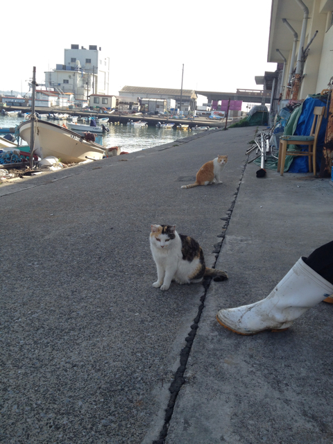 f:id:torebian-yokoshuka:20130319213844j:plain f:id:torebian-yokoshuka:20130319213844j:plain