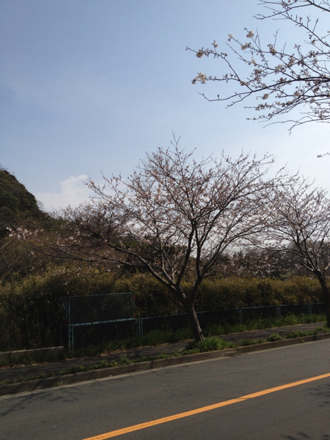 f:id:torebian-yokoshuka:20130324183154j:plain f:id:torebian-yokoshuka:20130324183154j:plain