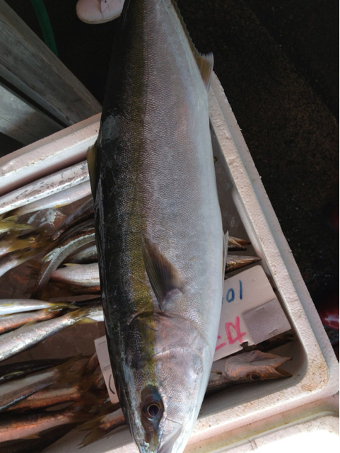 f:id:torebian-yokoshuka:20130405204604j:plain f:id:torebian-yokoshuka:20130405204604j:plain