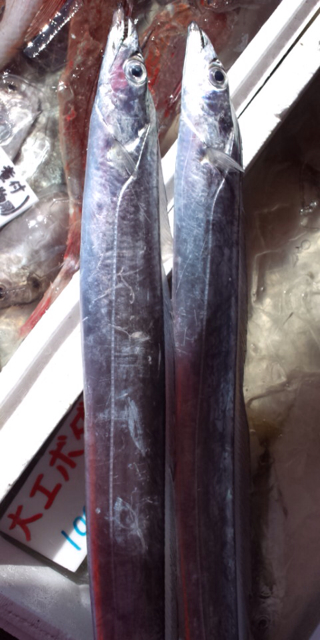 f:id:torebian-yokoshuka:20130411182438j:plain f:id:torebian-yokoshuka:20130411182438j:plain