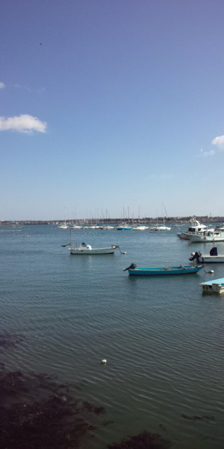 f:id:torebian-yokoshuka:20130411182743j:plain f:id:torebian-yokoshuka:20130411182743j:plain