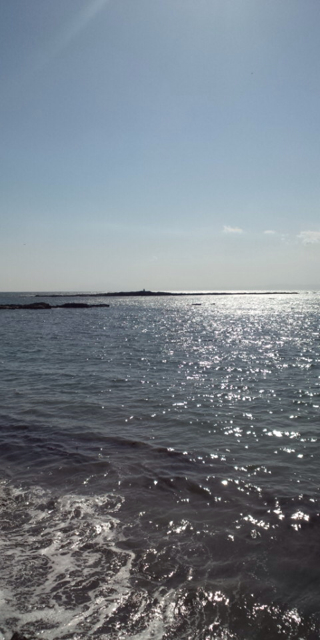 f:id:torebian-yokoshuka:20130411182837j:plain f:id:torebian-yokoshuka:20130411182837j:plain