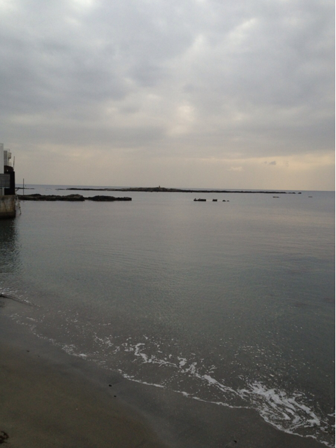 f:id:torebian-yokoshuka:20130419230426j:plain f:id:torebian-yokoshuka:20130419230426j:plain