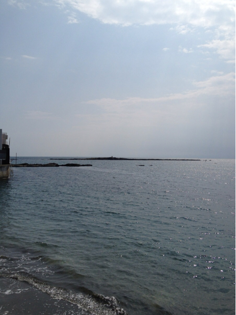 f:id:torebian-yokoshuka:20130608180144j:plain f:id:torebian-yokoshuka:20130608180144j:plain