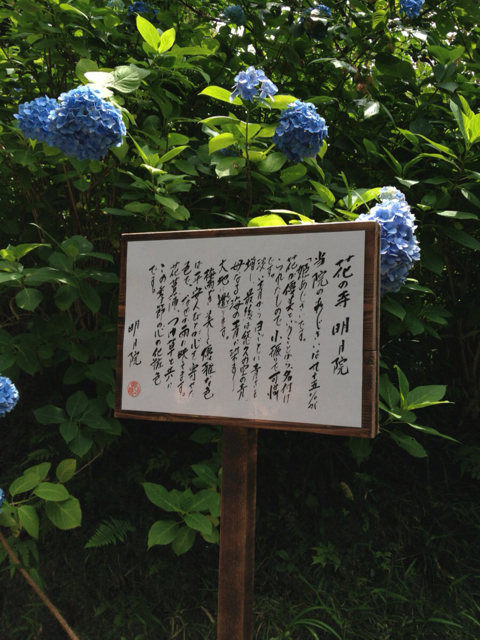 f:id:torebian-yokoshuka:20130619181431j:plain f:id:torebian-yokoshuka:20130619181431j:plain
