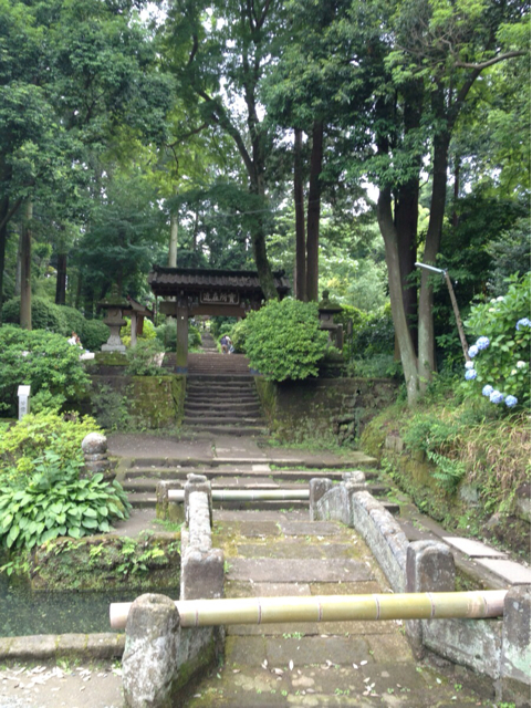 f:id:torebian-yokoshuka:20130619182713j:plain f:id:torebian-yokoshuka:20130619182713j:plain