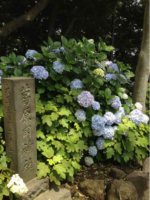 f:id:torebian-yokoshuka:20130619183922j:plain f:id:torebian-yokoshuka:20130619183922j:plain