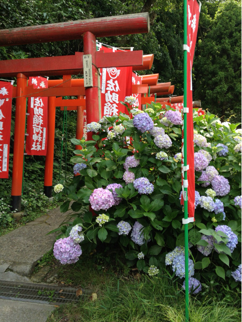 f:id:torebian-yokoshuka:20130619223054j:plain f:id:torebian-yokoshuka:20130619223054j:plain