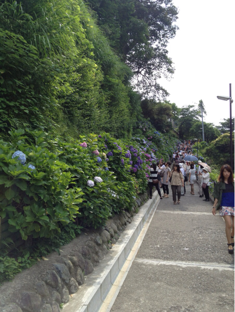 f:id:torebian-yokoshuka:20130619231152j:plain f:id:torebian-yokoshuka:20130619231152j:plain