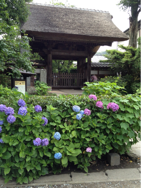 f:id:torebian-yokoshuka:20130619231649j:plain f:id:torebian-yokoshuka:20130619231649j:plain