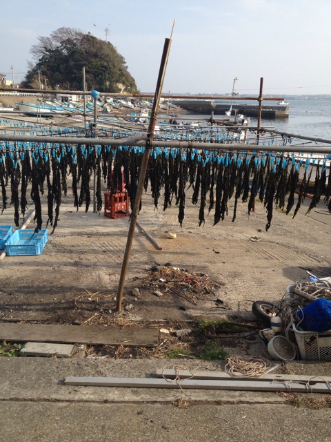 f:id:torebian-yokoshuka:20140203174722j:plain f:id:torebian-yokoshuka:20140203174722j:plain
