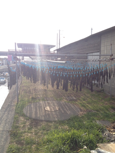 f:id:torebian-yokoshuka:20140203174735j:plain f:id:torebian-yokoshuka:20140203174735j:plain