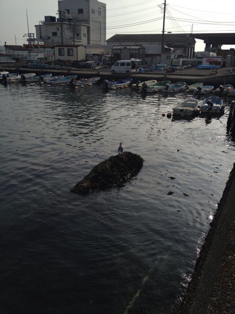 f:id:torebian-yokoshuka:20140203174901j:plain f:id:torebian-yokoshuka:20140203174901j:plain