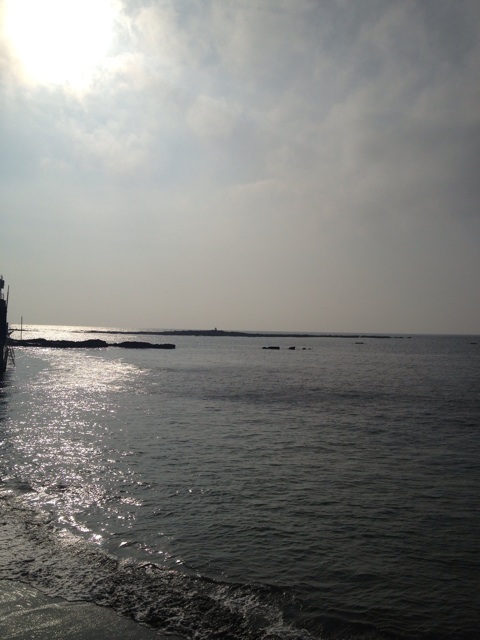f:id:torebian-yokoshuka:20140203175118j:plain f:id:torebian-yokoshuka:20140203175118j:plain