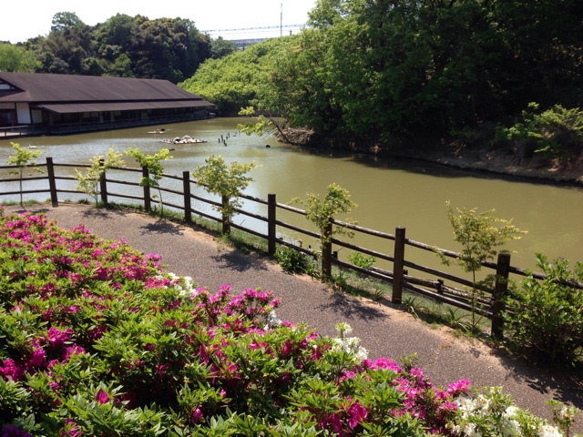 f:id:tori-planet:20140508103332j:plain f:id:tori-planet:20140508103332j:plain