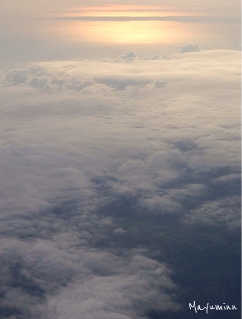 f:id:tori-planet:20140609080214j:plain f:id:tori-planet:20140609080214j:plain
