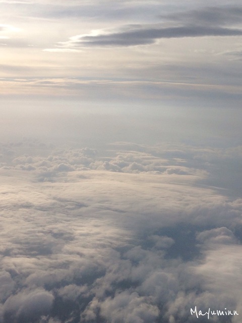 f:id:tori-planet:20140609080344j:plain f:id:tori-planet:20140609080344j:plain
