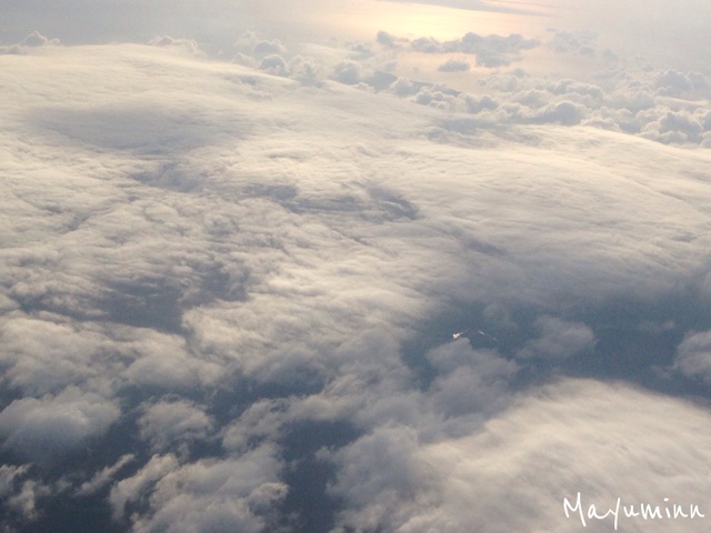 f:id:tori-planet:20140609080601j:plain f:id:tori-planet:20140609080601j:plain