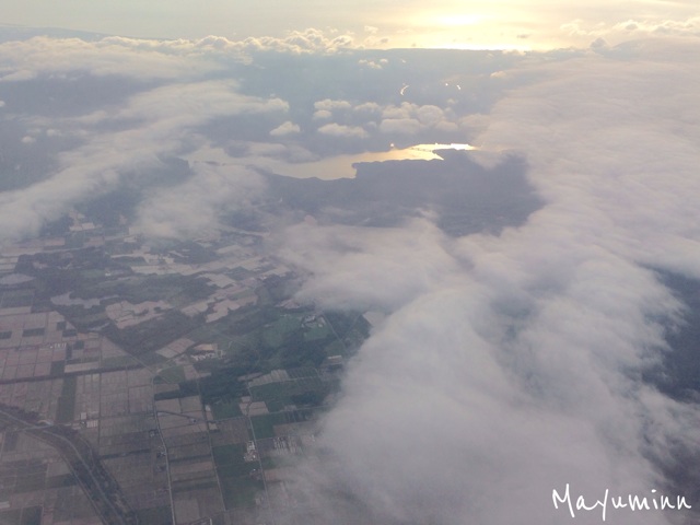 f:id:tori-planet:20140609080621j:plain f:id:tori-planet:20140609080621j:plain