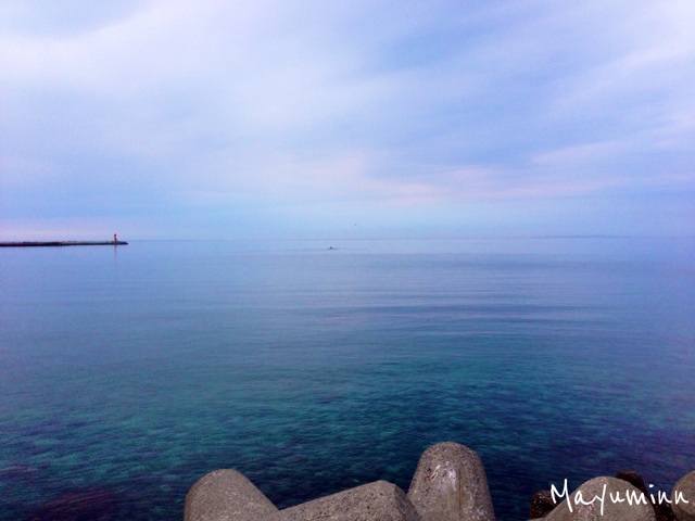 f:id:tori-planet:20140609080907j:plain f:id:tori-planet:20140609080907j:plain