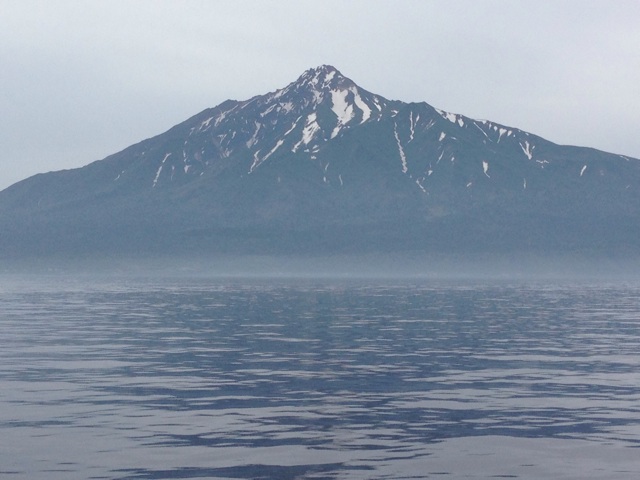 f:id:tori-planet:20140611060130j:plain f:id:tori-planet:20140611060130j:plain