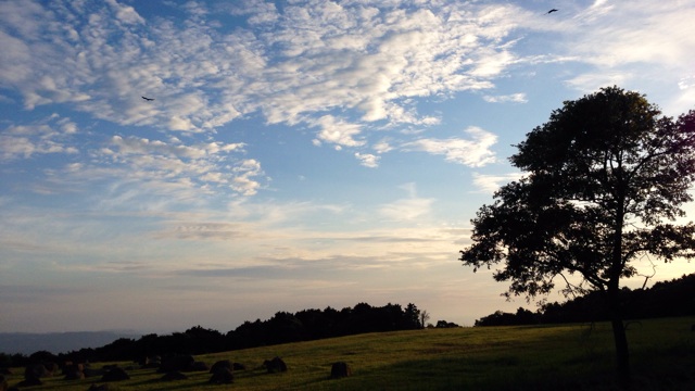 f:id:tori-planet:20141008021955j:plain f:id:tori-planet:20141008021955j:plain