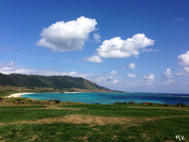 f:id:tori-planet:20141112180204j:plain f:id:tori-planet:20141112180204j:plain