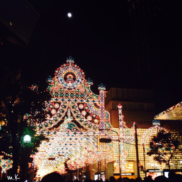 f:id:tori-planet:20141207142706j:plain f:id:tori-planet:20141207142706j:plain