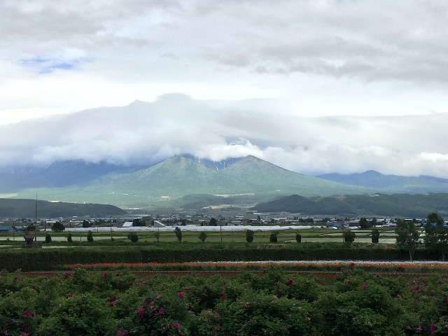f:id:tori-planet:20150610222647j:image f:id:tori-planet:20150610222647j:image