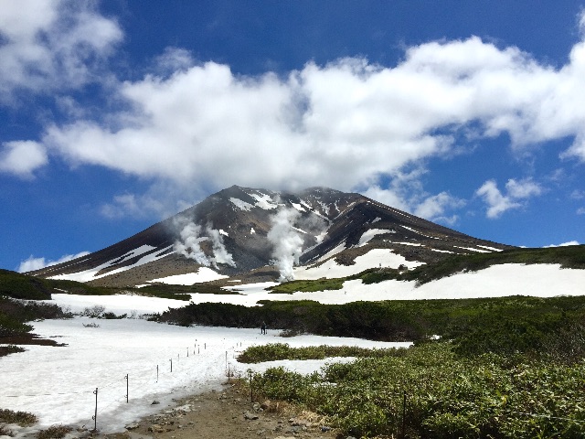 f:id:tori-planet:20150618173608j:image f:id:tori-planet:20150618173608j:image