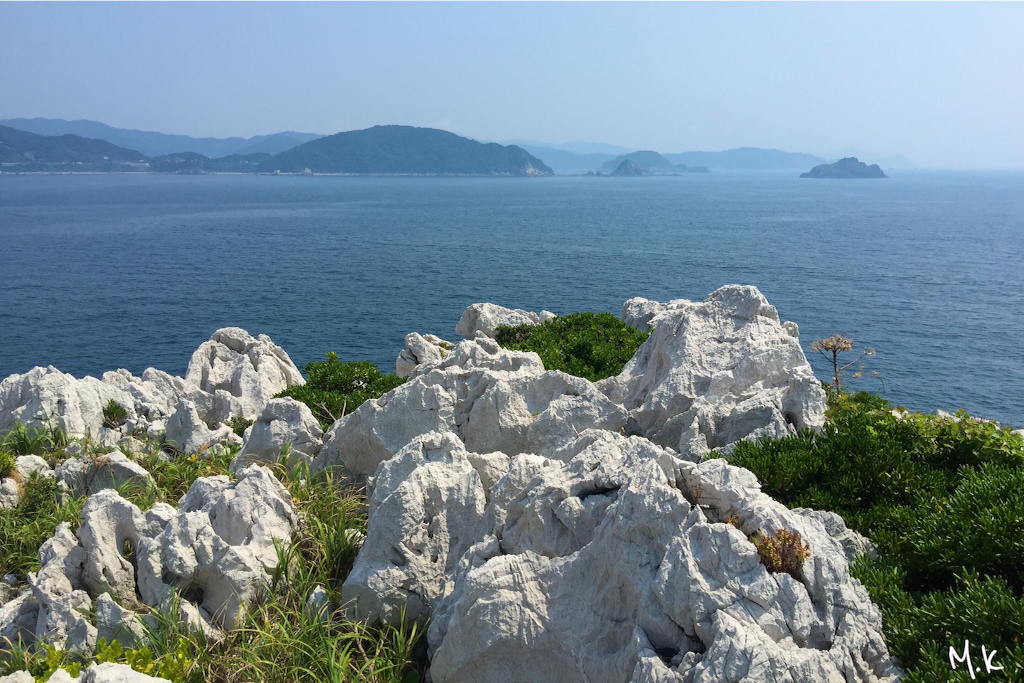 f:id:tori-planet:20150803192405p:image f:id:tori-planet:20150803192405p:image