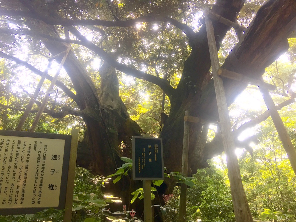 f:id:tori-planet:20160602125407j:image f:id:tori-planet:20160602125407j:image