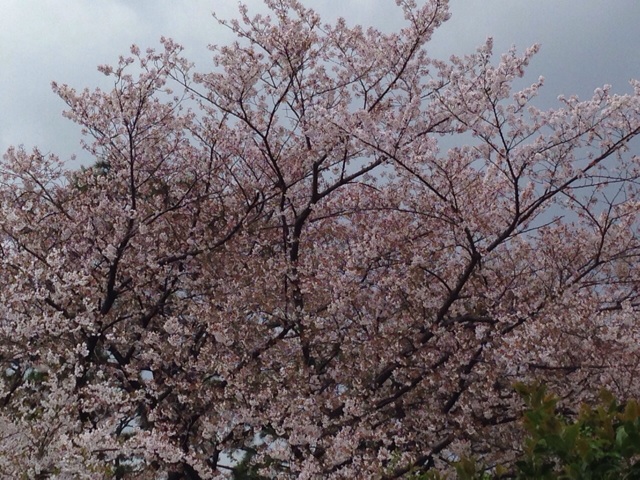 f:id:toriki841:20140406130742j:plain f:id:toriki841:20140406130742j:plain