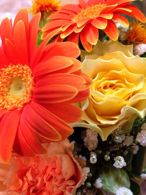 f:id:toriki841:20140510105432j:plain f:id:toriki841:20140510105432j:plain