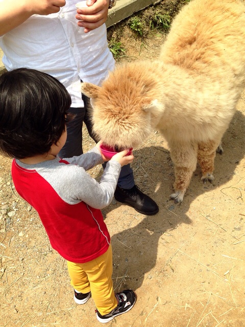 f:id:toriki841:20140525213644j:plain f:id:toriki841:20140525213644j:plain